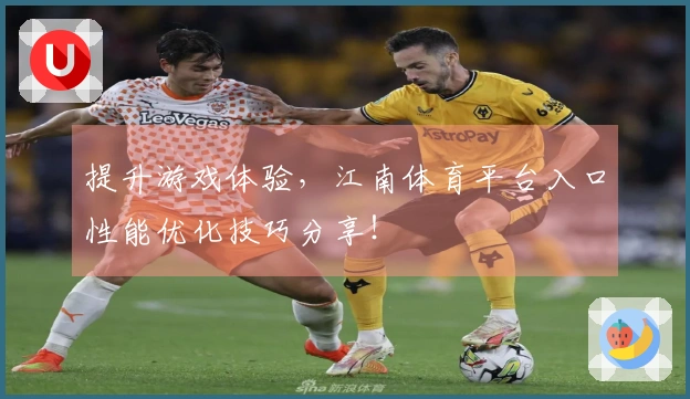 提升游戏体验，江南体育平台入口性能优化技巧分享！